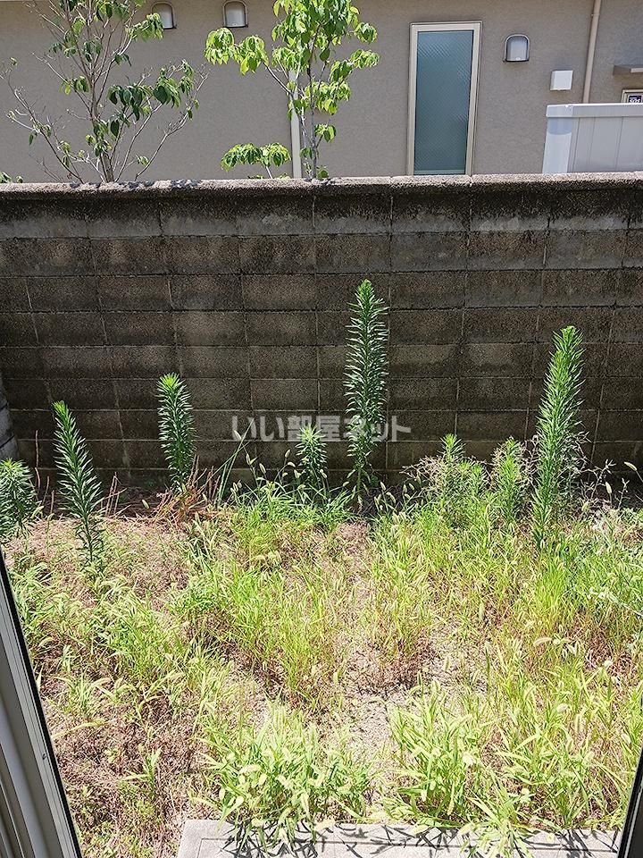 庭