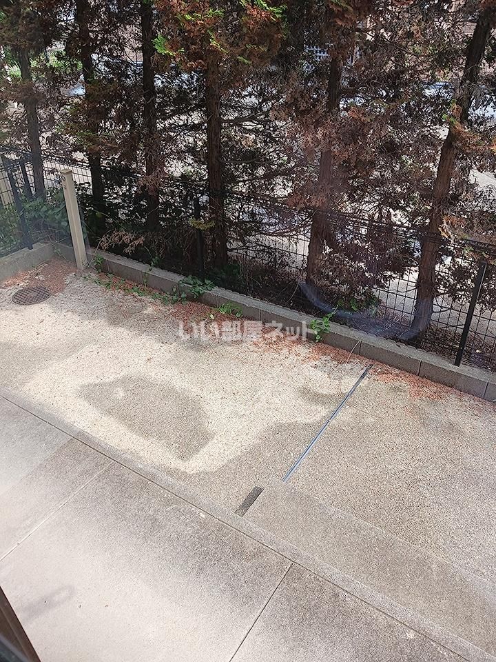 庭