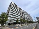 リライズガーデン西新井スカイレジデンスの間取り画像