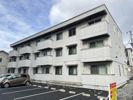 ベレオ神明の間取り画像