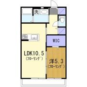 コーシュカⅡの間取り画像