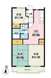 ルミエール南越谷の間取り画像