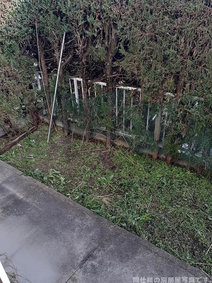 庭