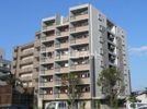 AXiS神水の間取り画像
