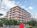インペリアル南ヶ丘の間取り画像