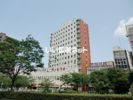 アービラ川崎の間取り画像