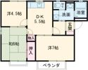サンプレイス貝塚B棟の間取り画像