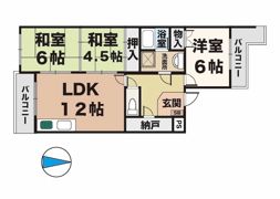 グランベア今井の間取り画像