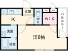 フォーリーブス33 C棟の間取り画像