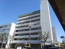 向陽ビルの外観
