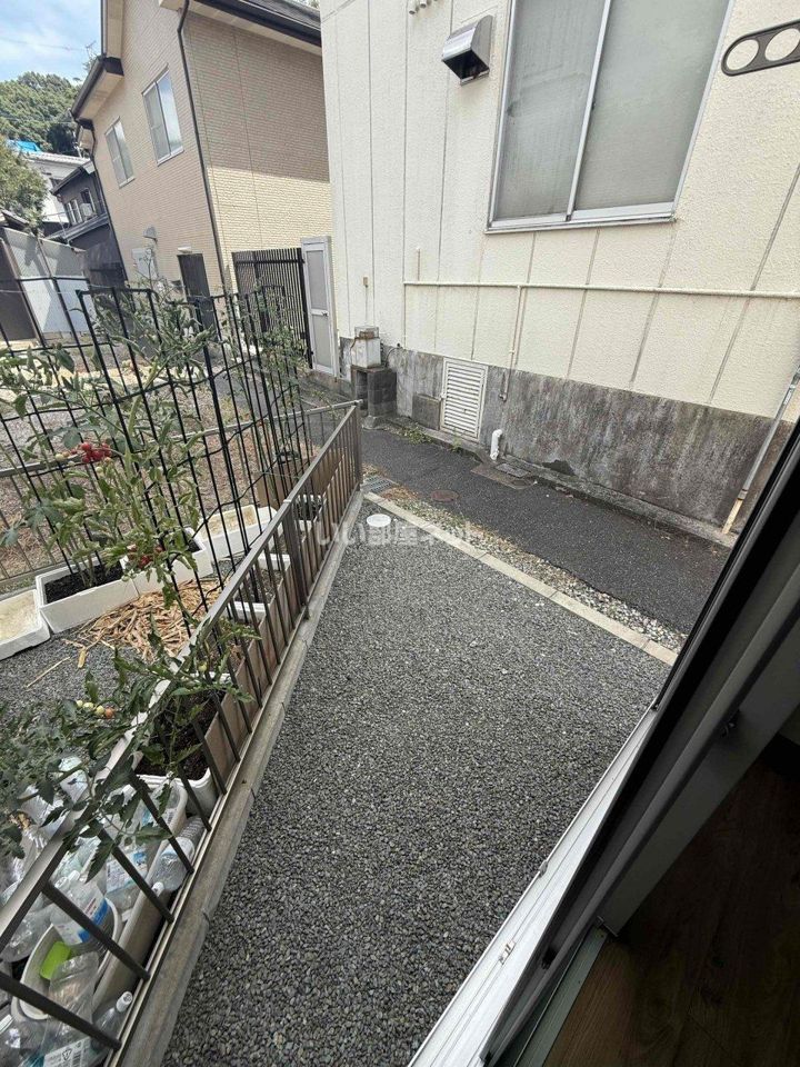庭