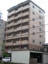 ファレノプシスの外観
