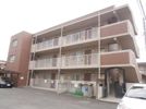 グレイス渋谷の間取り画像