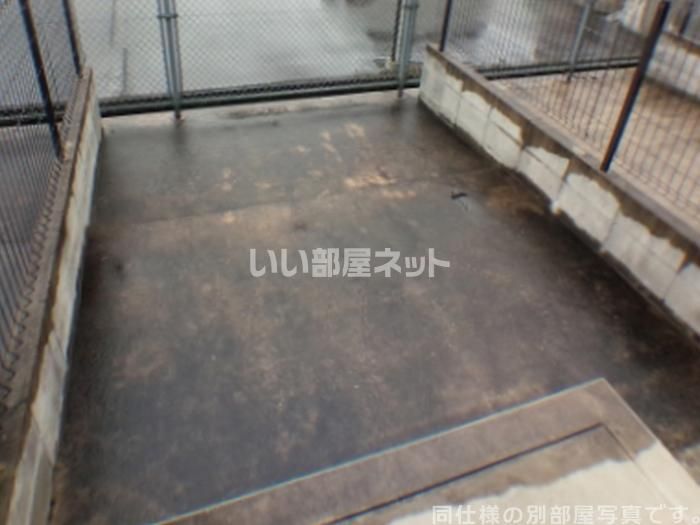 庭