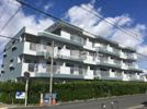 ハイツしらいの間取り画像