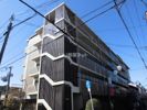 アンシャンテ平野の外観