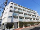 レヴィーガ大山の間取り画像