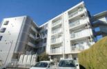 シャロン本厚木の間取り画像
