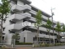 レジデンス第7石川の間取り画像