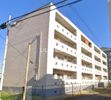 ロイヤルハイツ野洲の外観