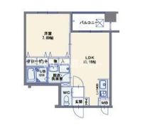 ラフィーネ博多駅前の間取り画像
