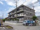 ウイニングの外観