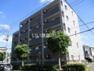 ヒルズY・Kの間取り画像