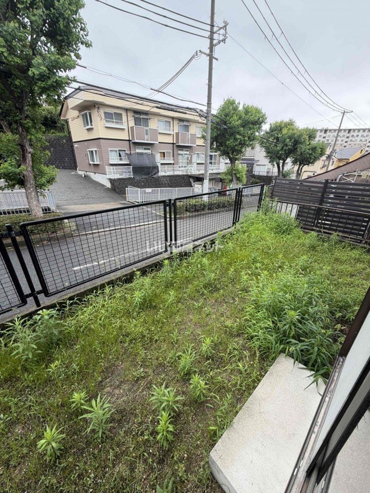 庭