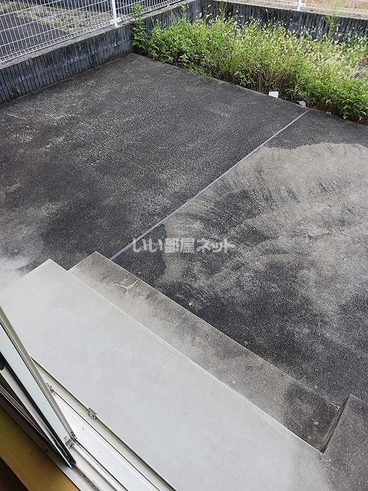 庭