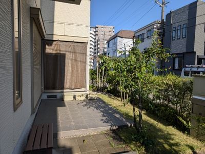 庭