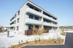 ヴェルコリーナの間取り画像