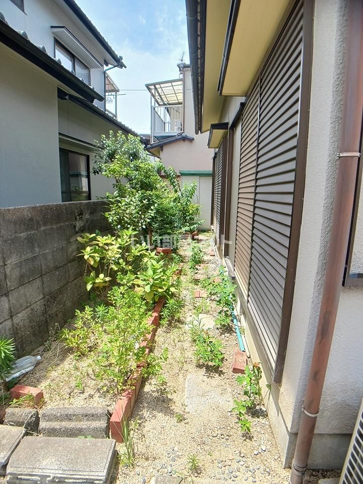 庭