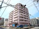 エクセリア駅南の間取り画像
