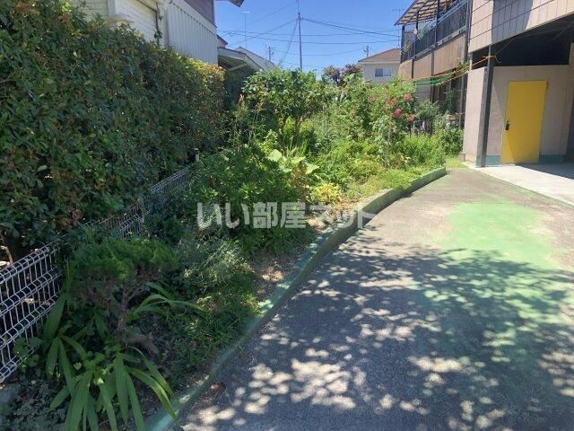 庭