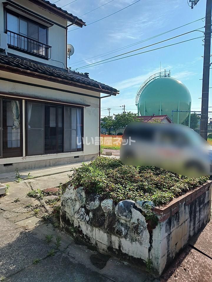 庭