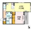 セイグレイスの間取り画像