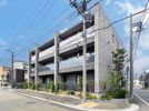 コリーナステラータの外観