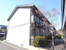 アパートメント新宅 Aの間取り画像