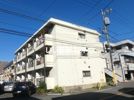 ウィローレヂデンス Bの間取り画像