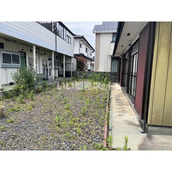 庭