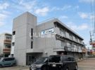 メイゾン栄の間取り画像