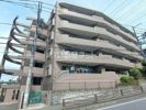 ドルチェコートの間取り画像
