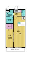 メゾンド桜の間取り画像