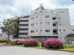 稲毛ブルースカイハイツの外観画像