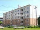 西諌早団地 B－4棟の間取り画像