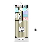 セゾン・ドゥ・ブランシェ千葉中央の間取り画像