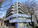 ウィルテラス南大塚の間取り画像