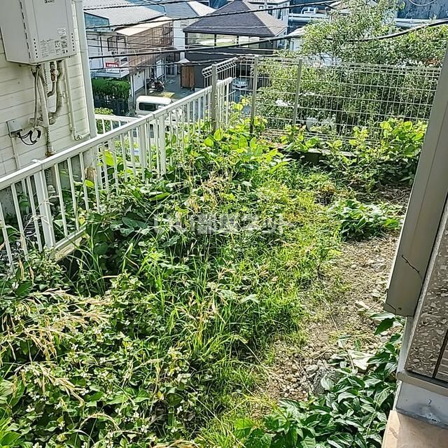 庭