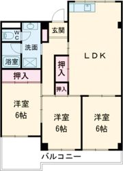 メゾンサカエの間取り画像