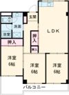 メゾンサカエの間取り画像